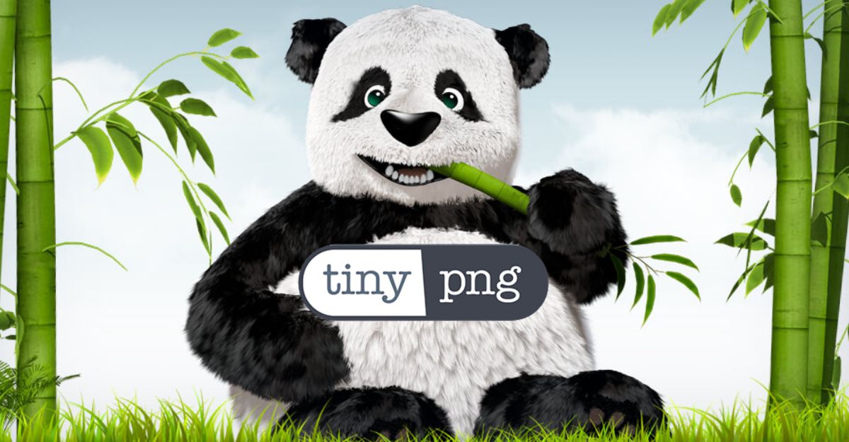 Optimisez vos images avec TinyPNG